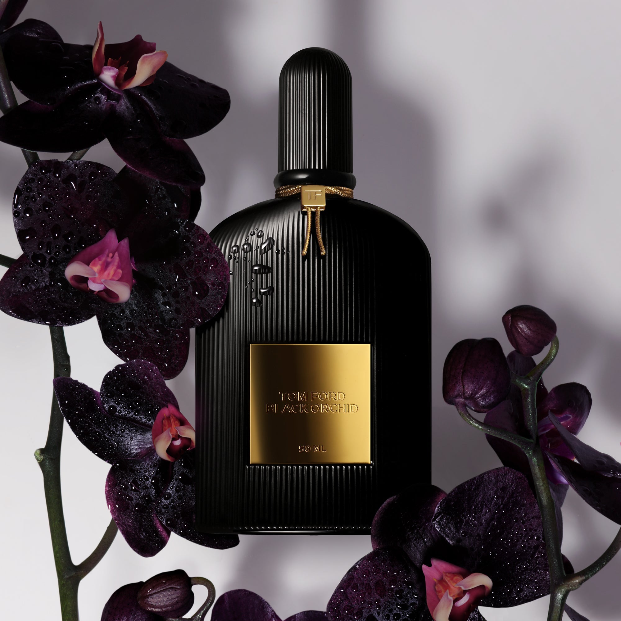 Perfumes with a Dark Edge: Inside My Collection 𖤐₊˚.༄☾⋆⁺ cover photo collage