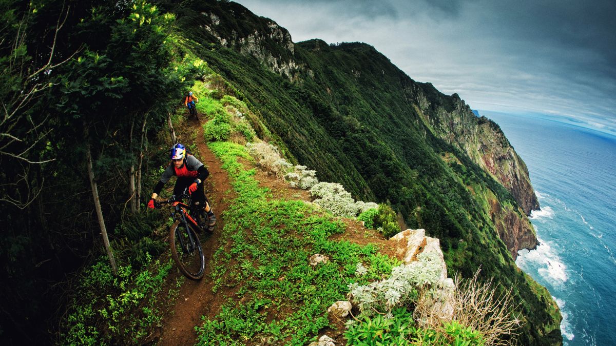 The Anti Car-Line School Drop Off List for Multiple Siblings cover photo collage