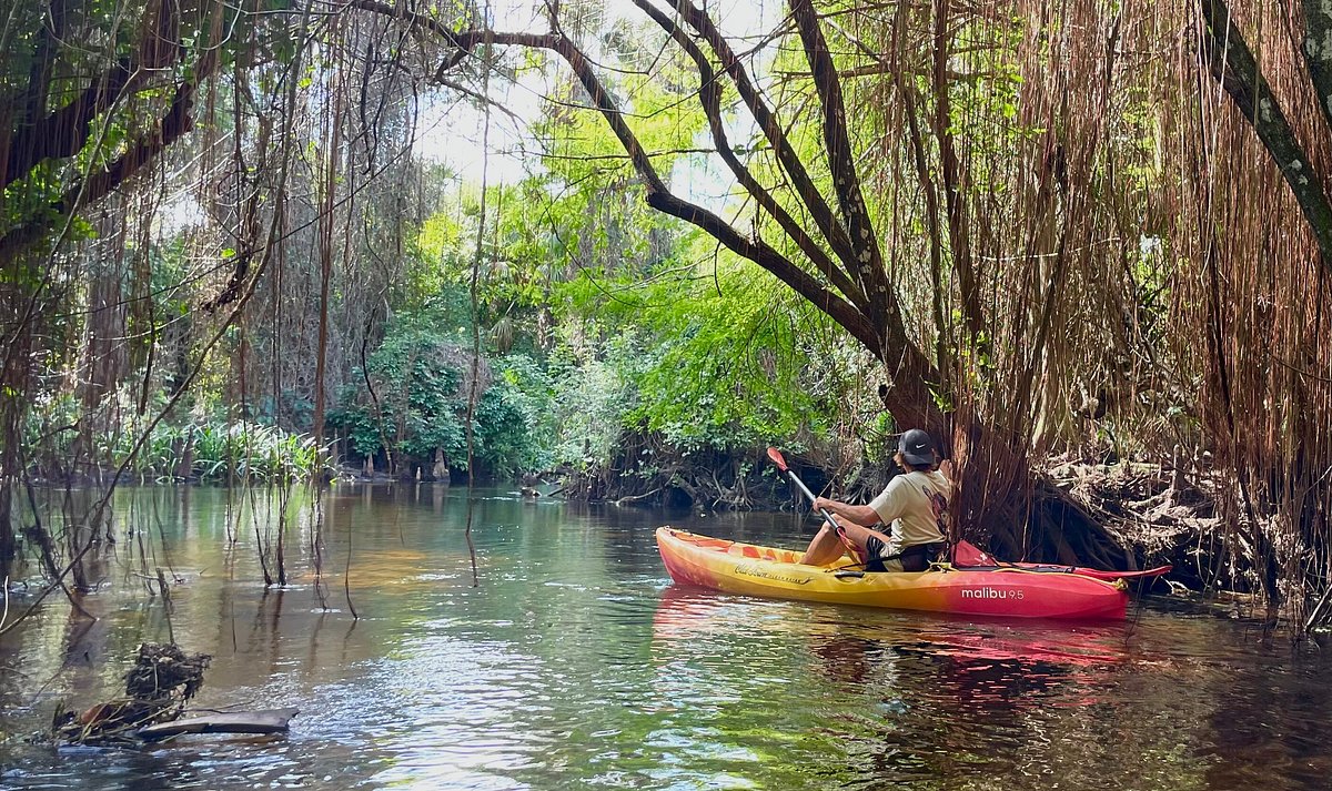 Get Active! 🤸🏼 cover photo collage