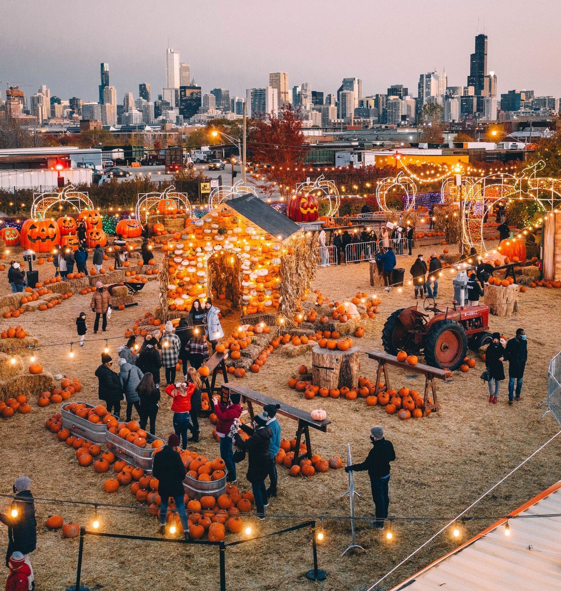 The Only Chicago Fall Events List You Need! cover photo collage