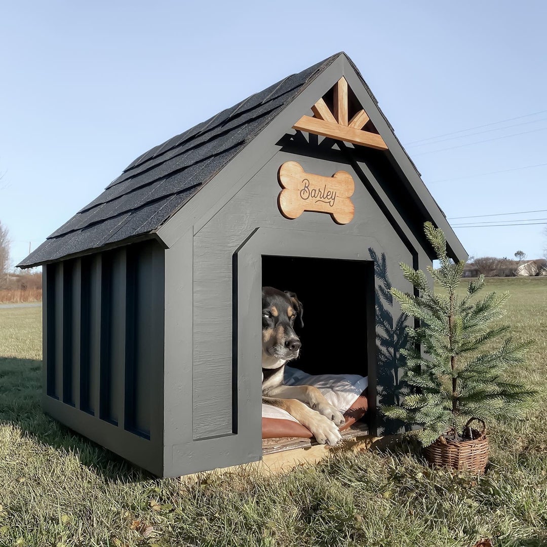 Top things to do with your dogs cover photo collage