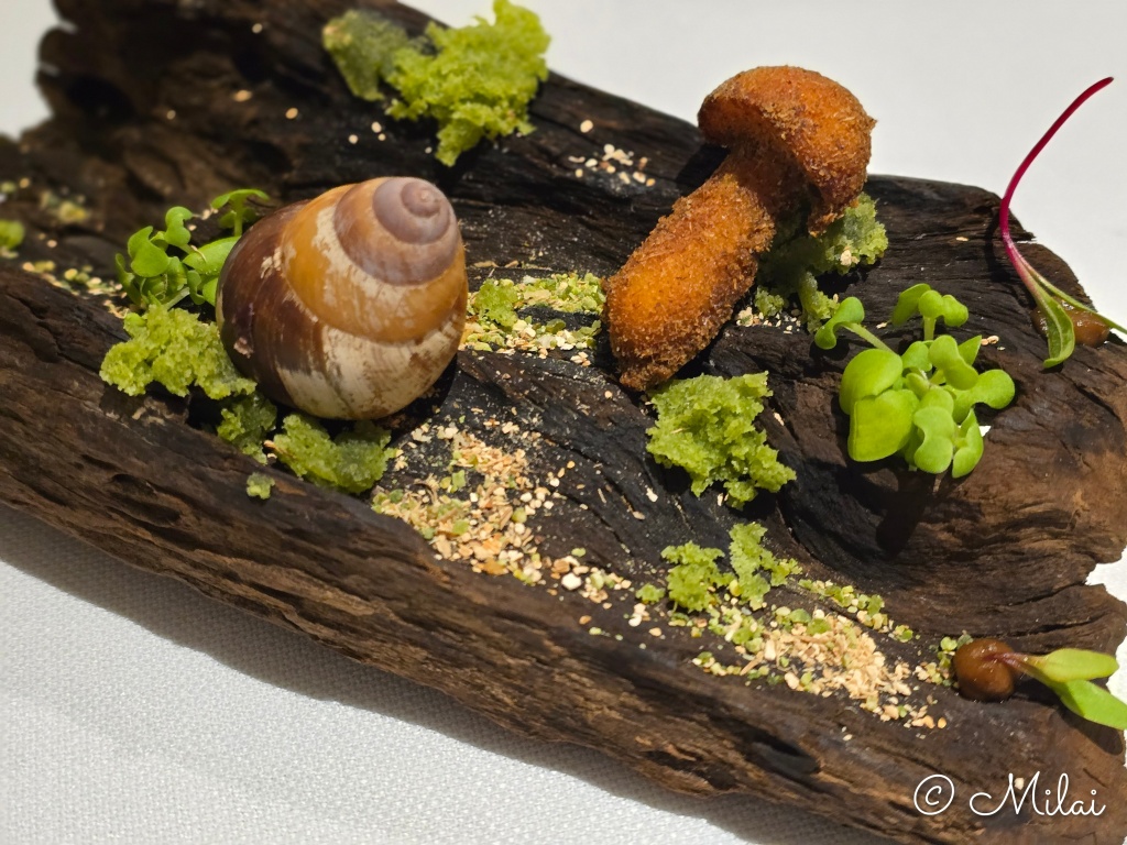 Must Goto Cebu City Restaurants cover photo collage