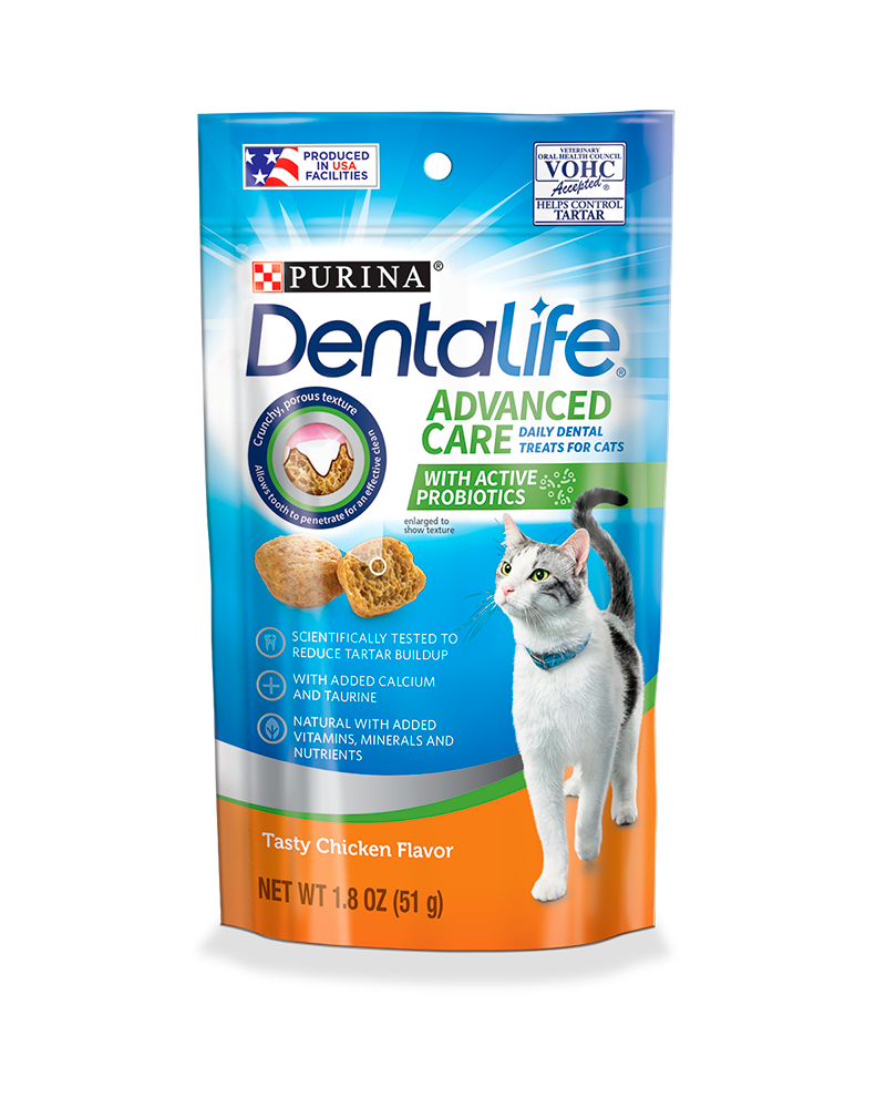 CAT HEALTH cover photo collage