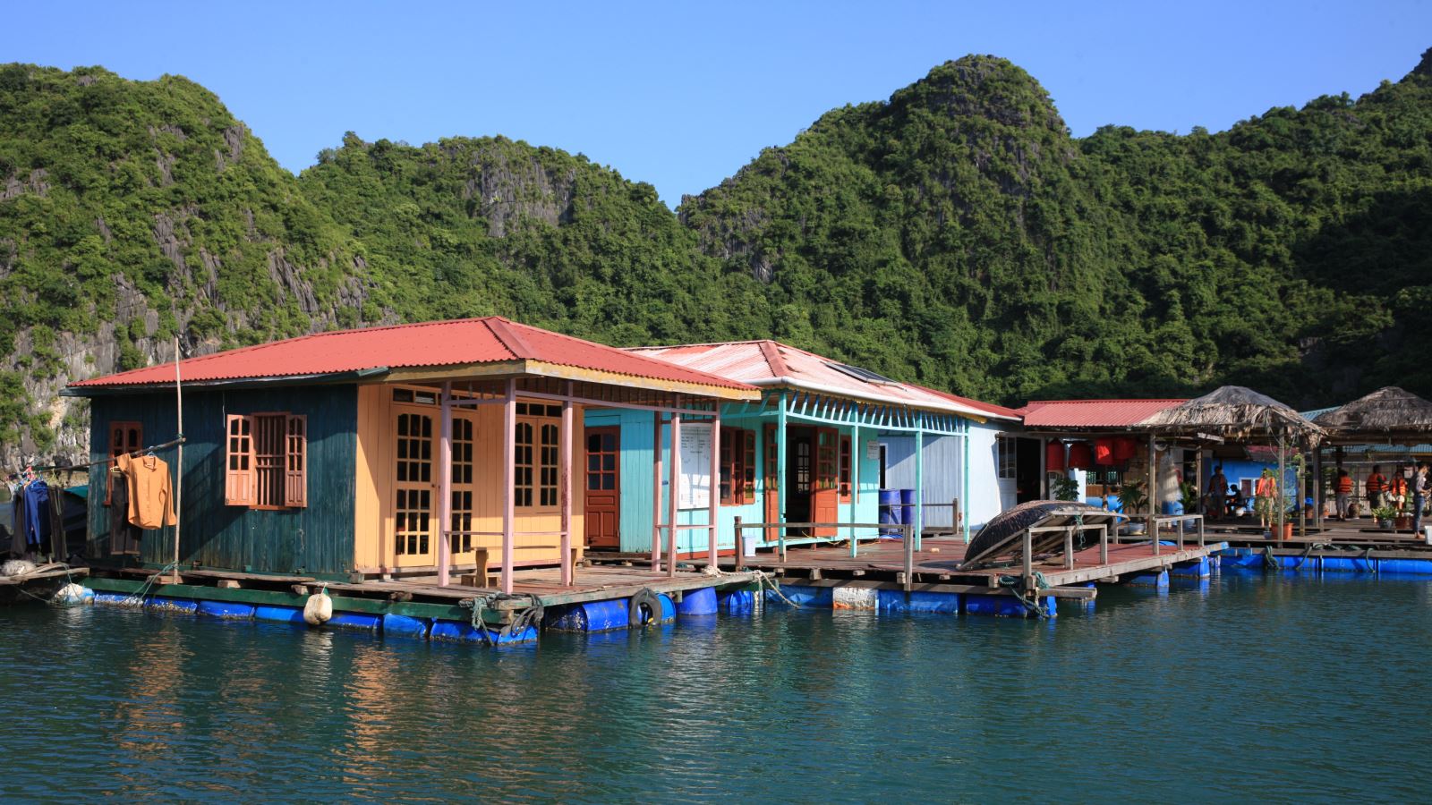 Vietnam: Hanoi, Halong, Bai Tu Bay cover photo collage