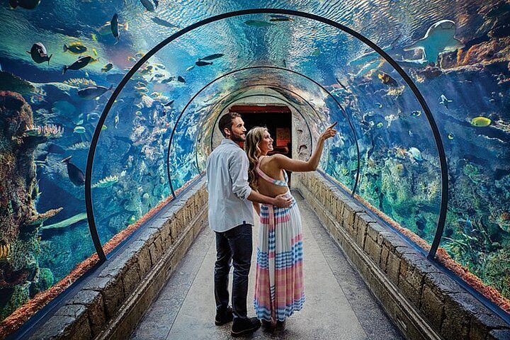 🌆 Local Gems & Little Adventures - Las Vegas cover photo collage