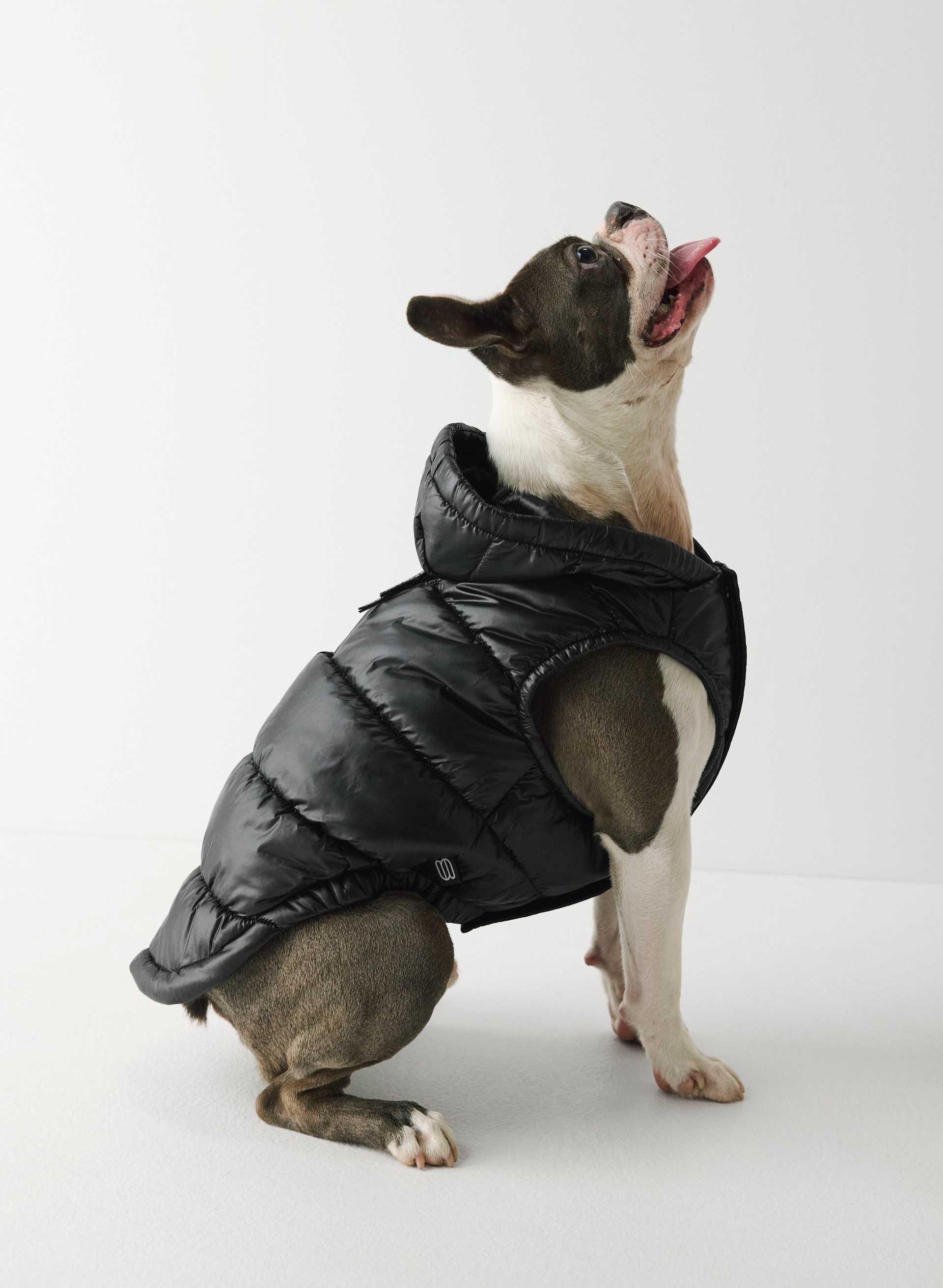 Dog GRL cover photo collage
