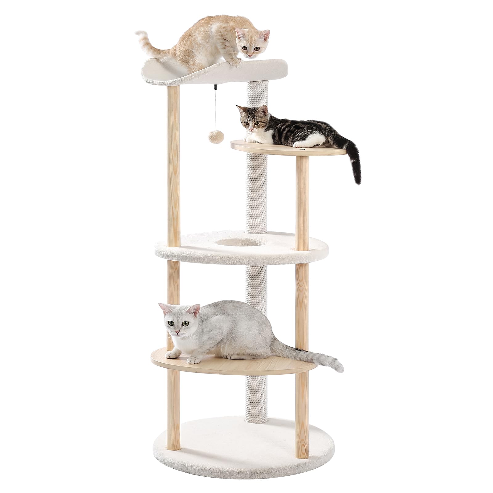 cat essentials ฅ^•ﻌ•^ฅ cover photo collage