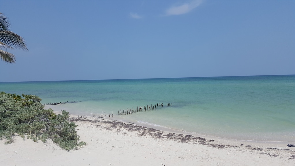 Mexico Musts cover photo collage