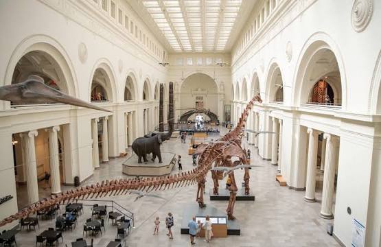 Museums you need to visit before you die. cover photo collage