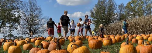 Best Things To Do In The Fall Near Dayton, Ohio cover photo collage