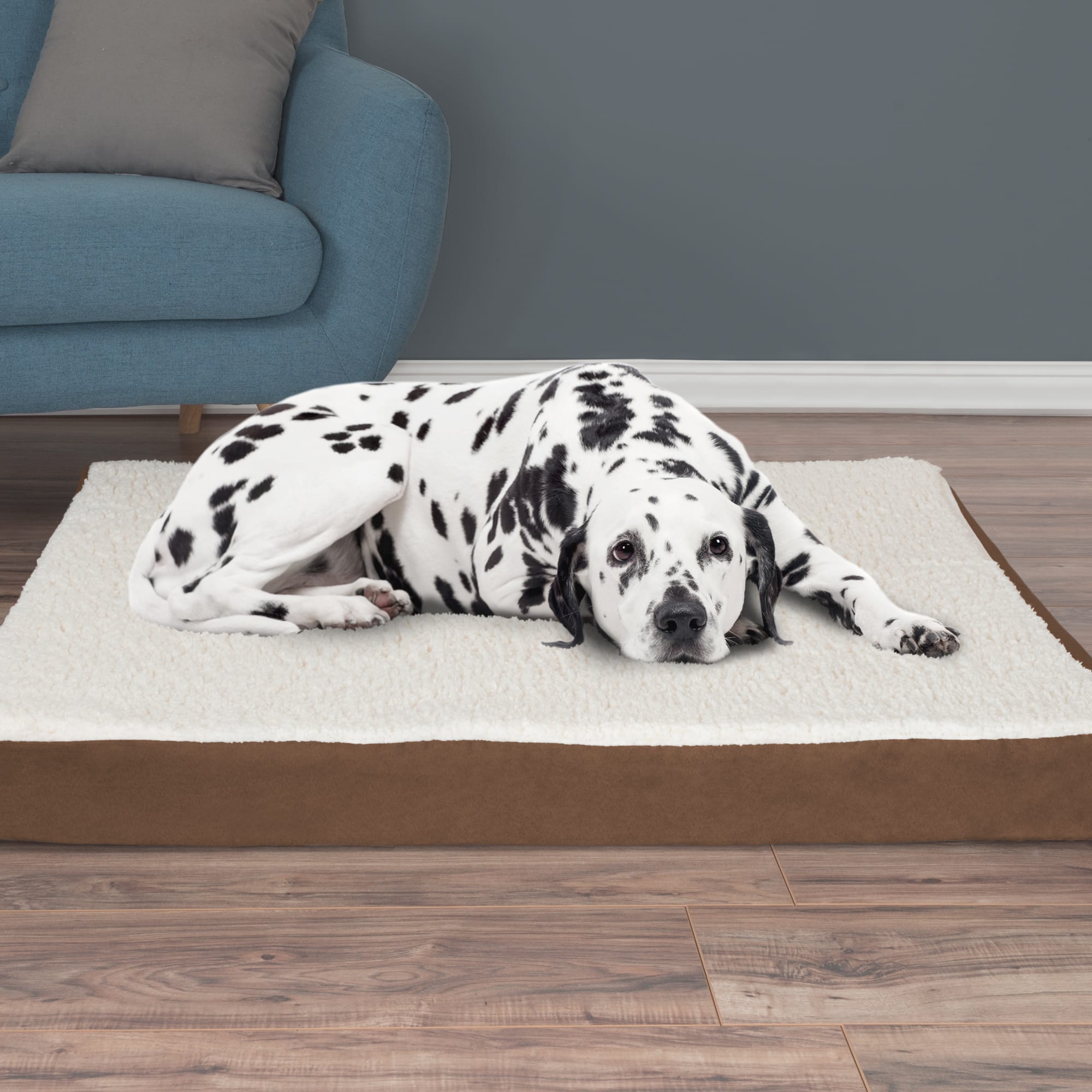 Petco Favorites for Happy, Healthy Pets cover photo collage