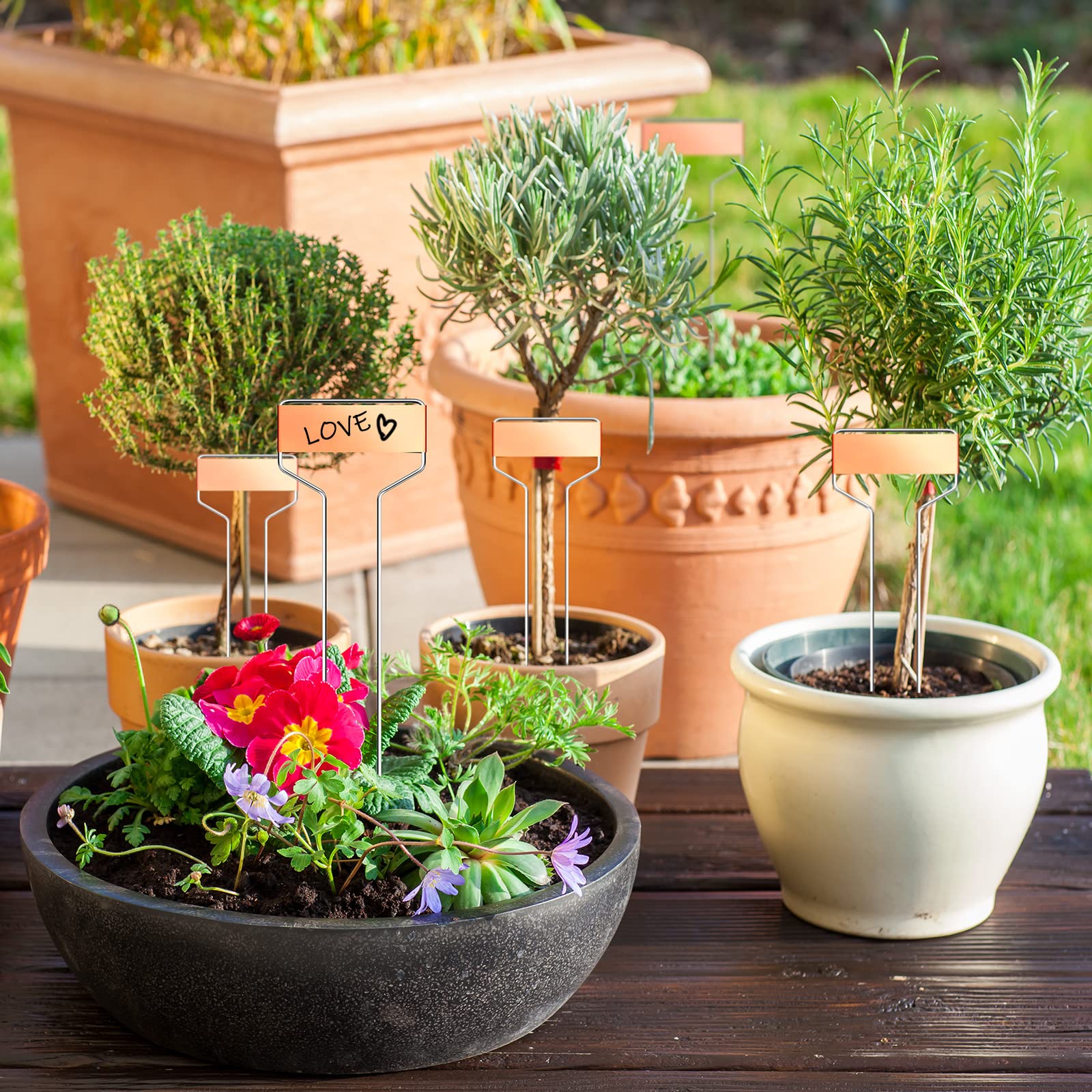 Greenhouse Must Haves🌿🌱 cover photo collage