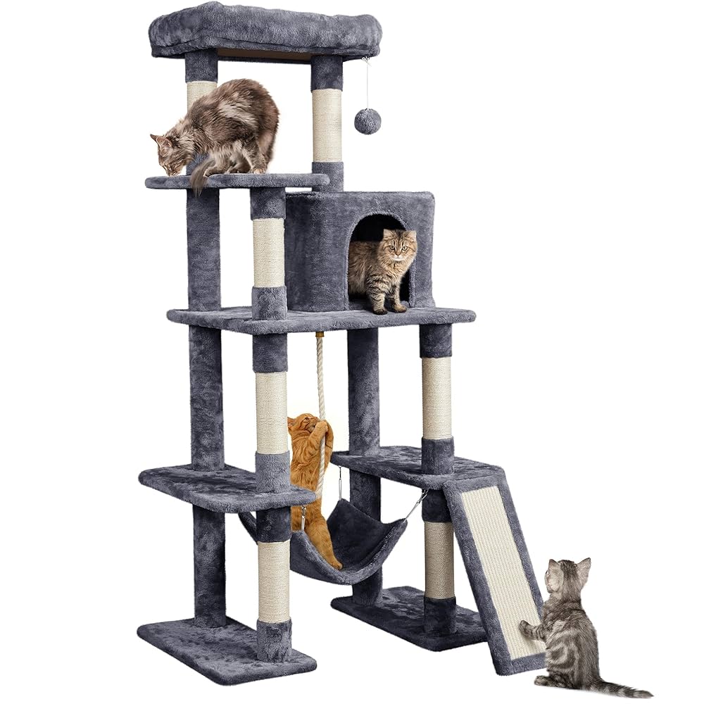 Cat/Kitty Must Haves! 🐈 cover photo collage