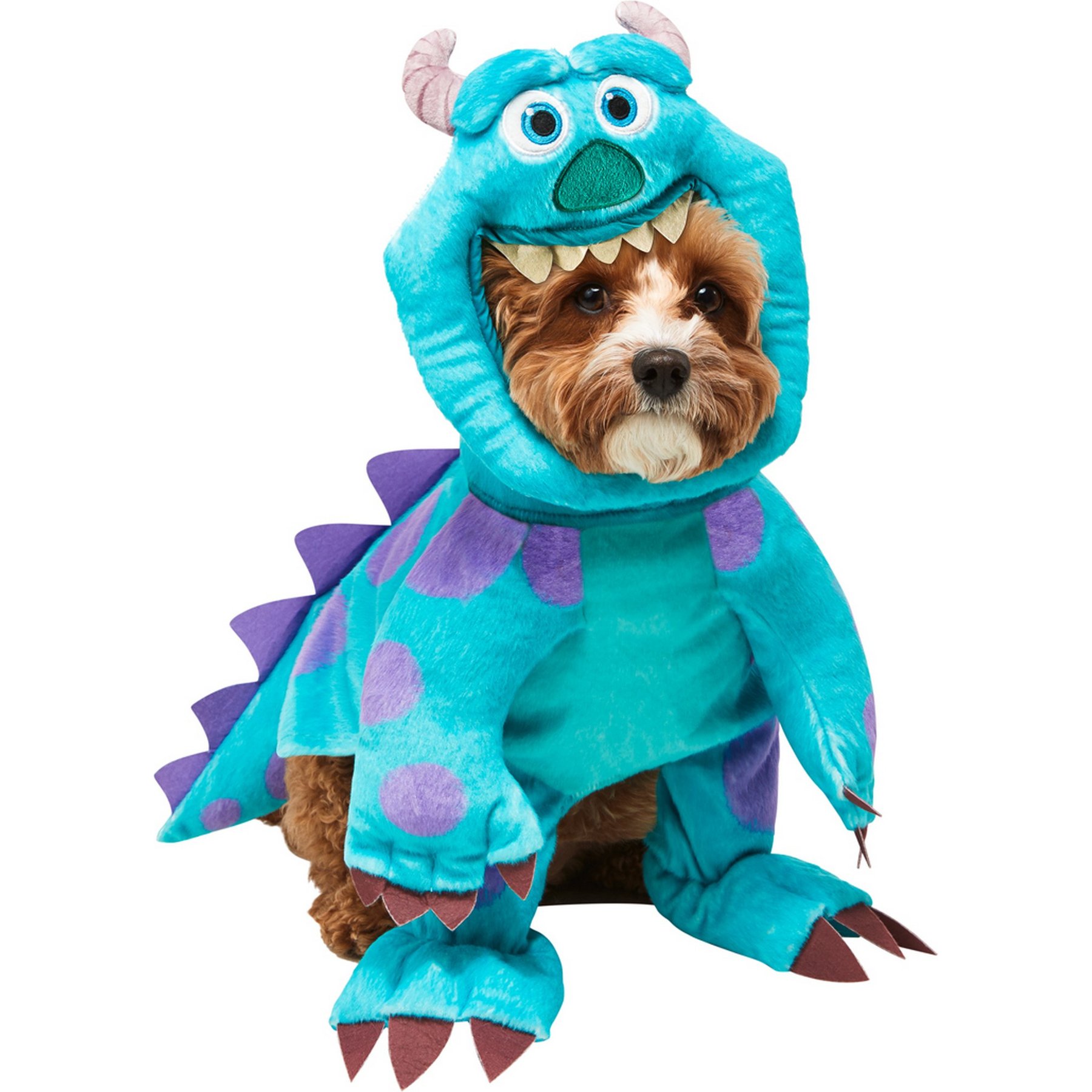 Halloween for Pets cover photo collage