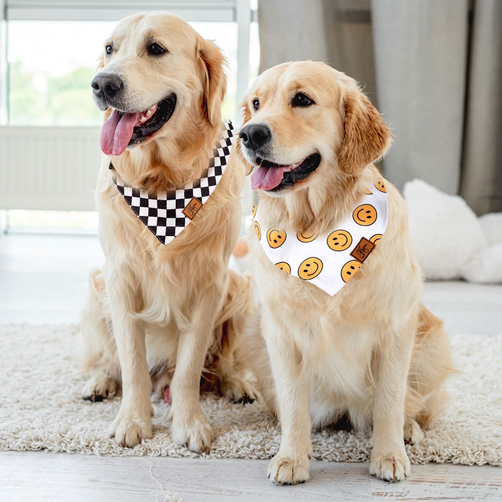 Furry Fashion! Clothes for Your Pup! 👗 cover photo collage