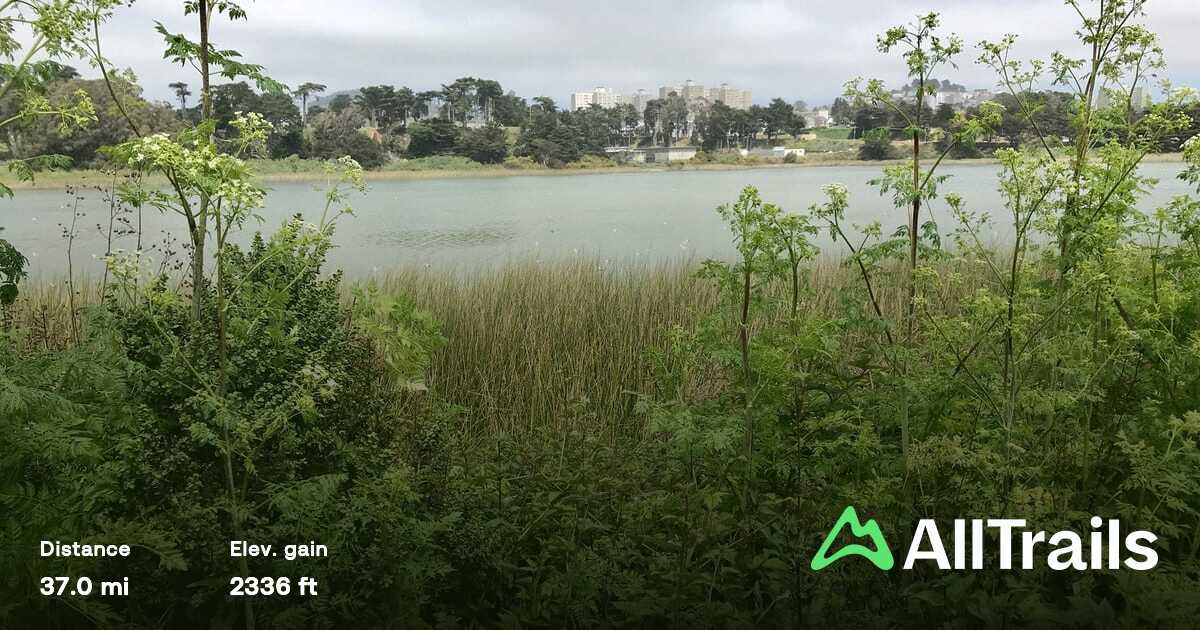 Roundabout Trail cover photo collage