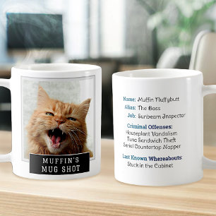 Cats on Coffee Mugs cover photo collage