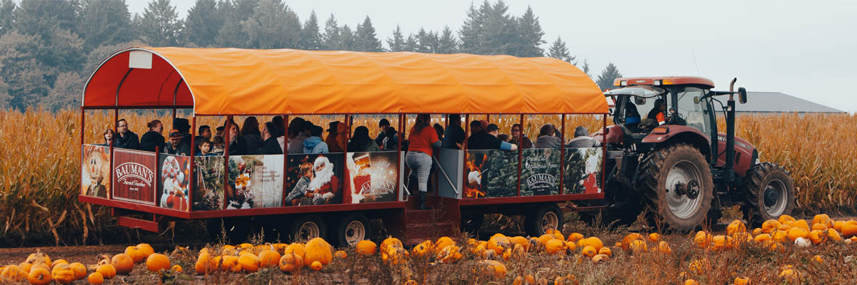 Top Pumpkin Patches in Oregon and what to wear! cover photo collage