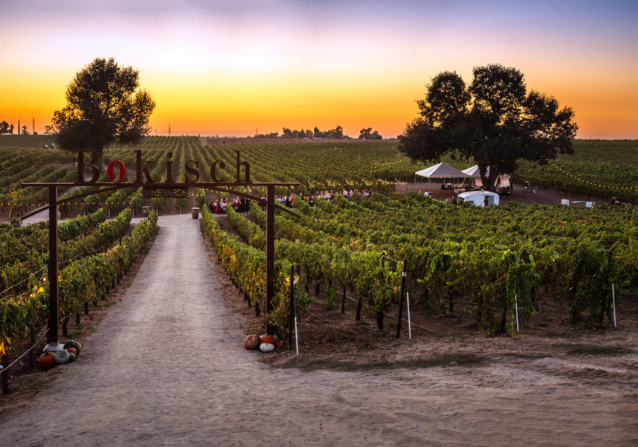 Places to Visit & Things to do - Lodi, CA cover photo collage