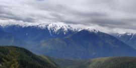 Camping on the Olympic Peninsula: Your Fall Escape Guide cover photo collage