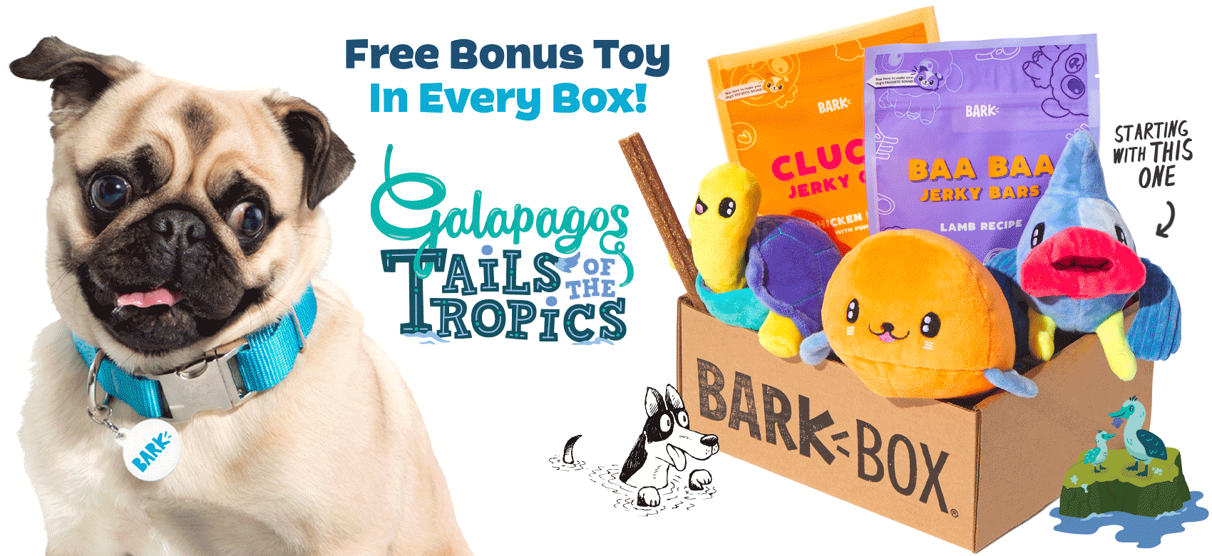 Gifts & Gadgets For Pets & Pet Lovers 🎁 cover photo collage