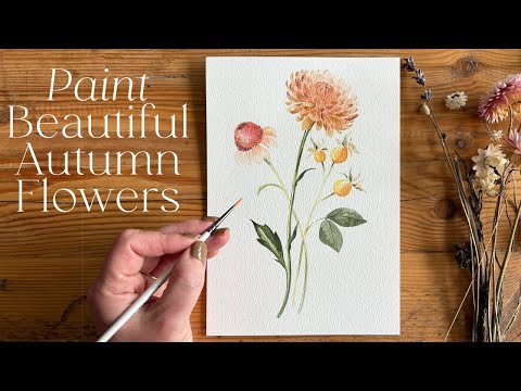 Art Supplies, Books, Videos cover photo collage