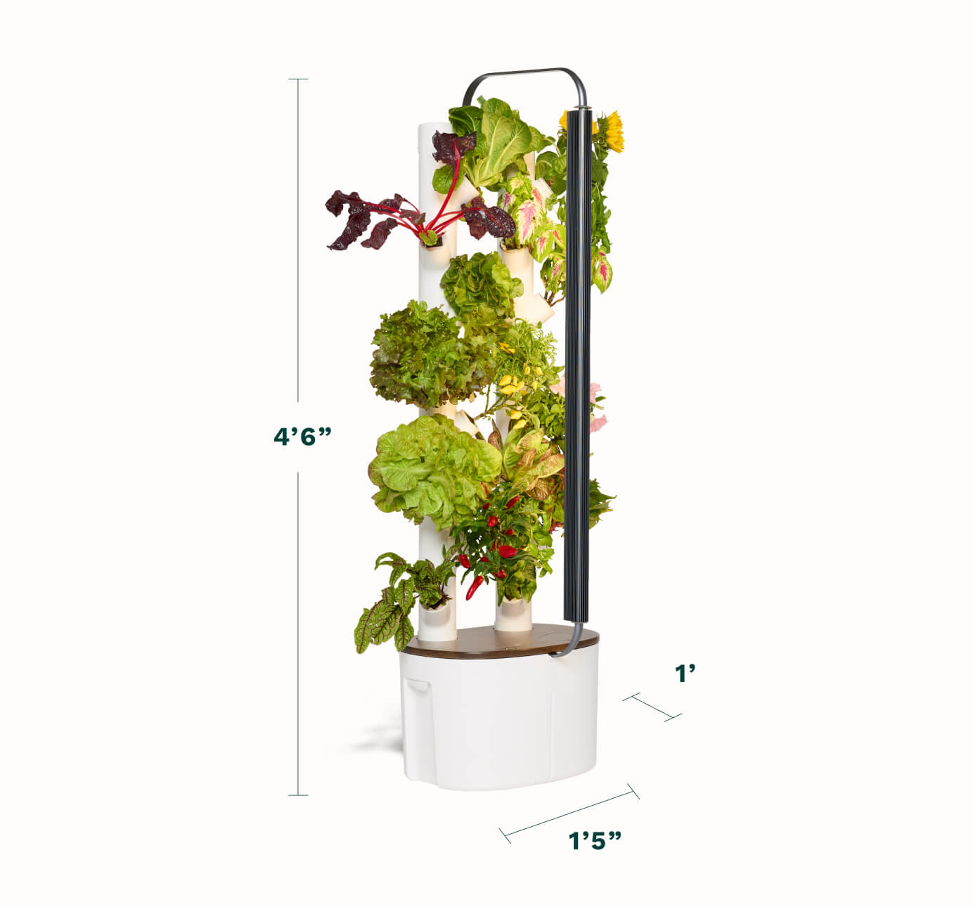 How I was able to grow my own food in my Apartment. cover photo collage