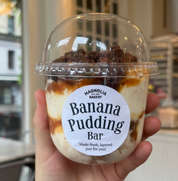 🏞️ Things You’d Want To Do In NYC If The World Ended Tomorrow cover photo collage