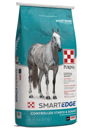 Essential horse & barn products that we can't live without - tried and true! cover photo collage