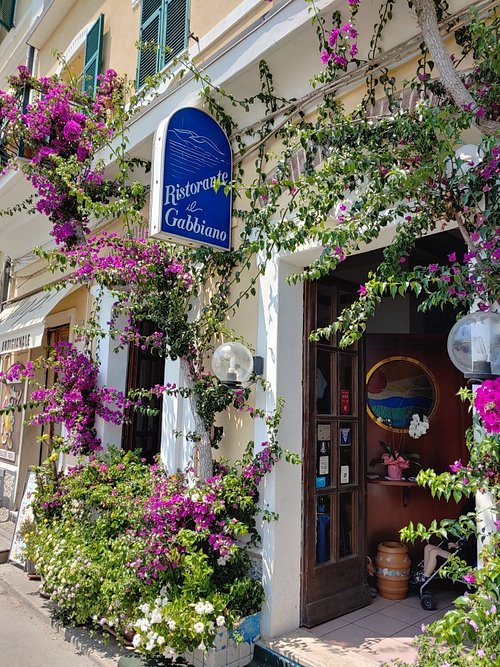 An Italian Tour: Eating Through the Old World from Roma North cover photo collage