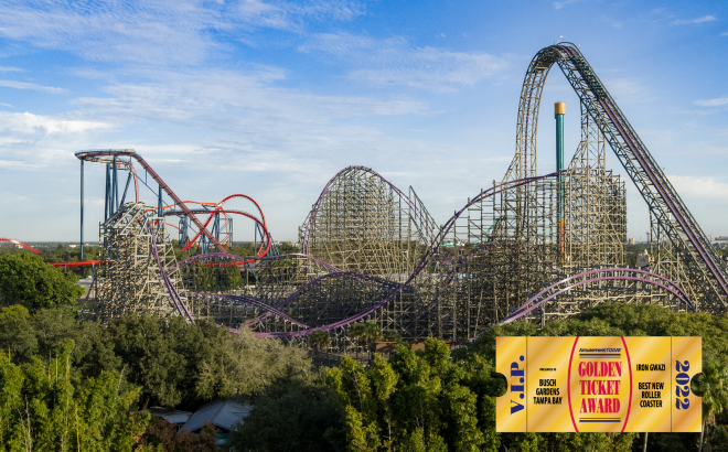 Tampa Bay’s treasures & tourism cover photo collage