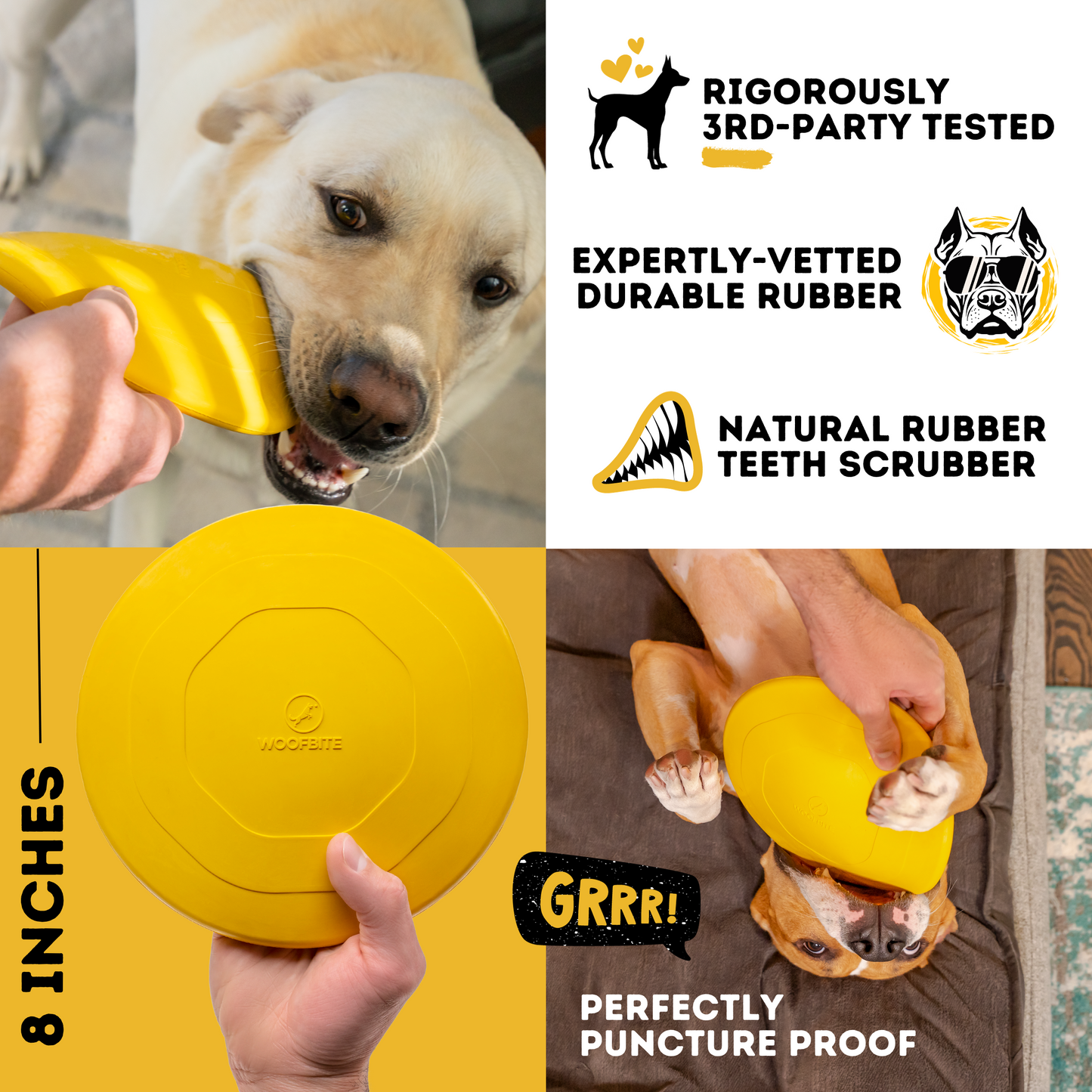 My Dog’s Toy Must-Haves — No Gatekeeping 🐶 cover photo collage