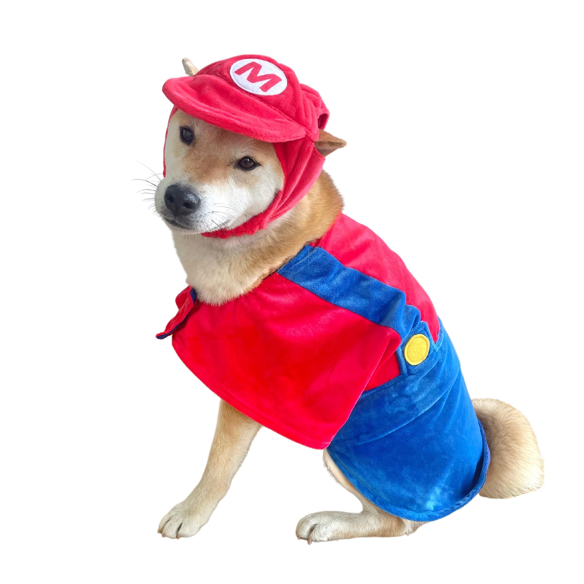 Mommy & Me Boy Dog Halloween Costumes! 👻 cover photo collage