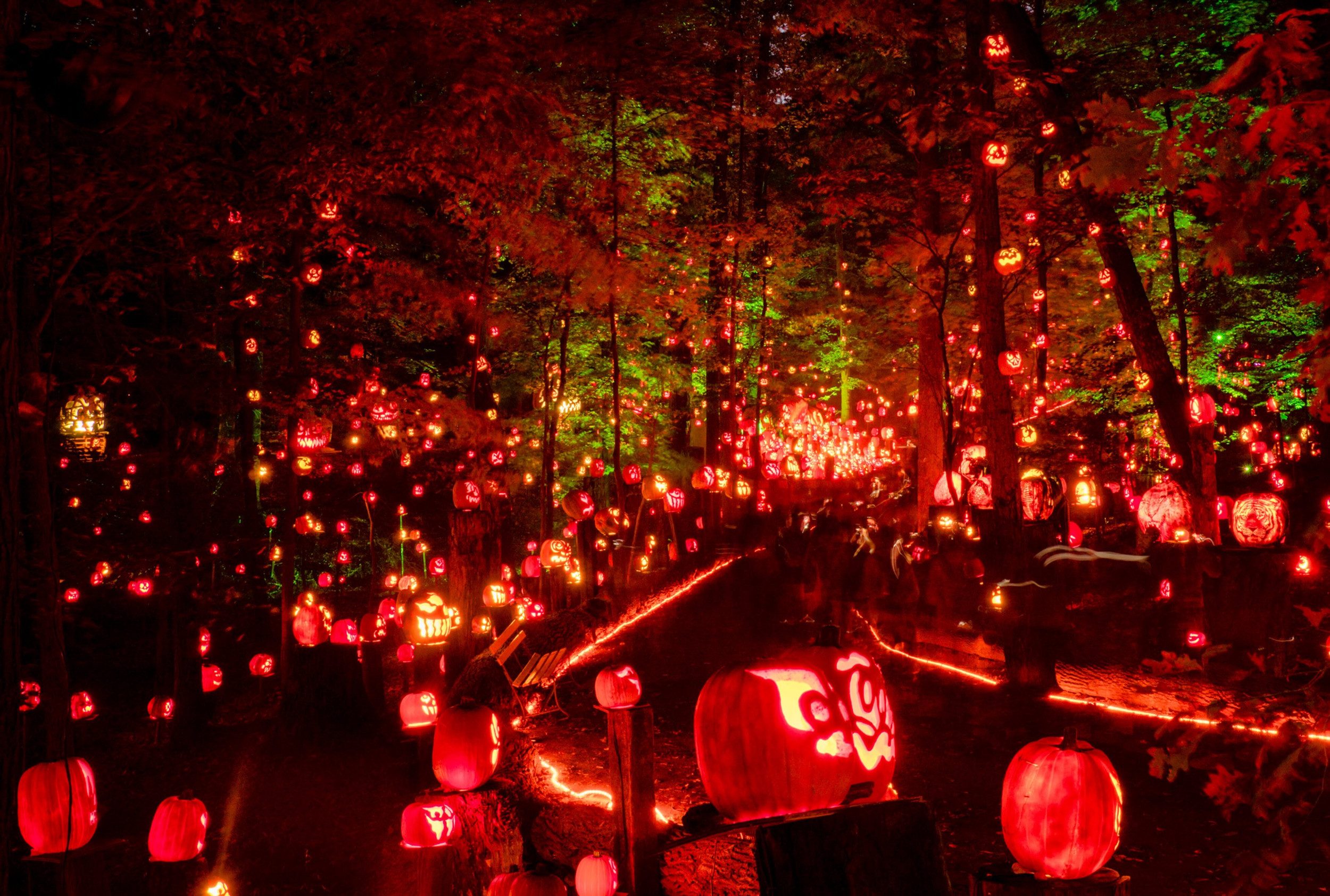 Witch way to Louisville’s best fall fun? I made the map! 🪄🎃🧙‍♀️ cover photo collage