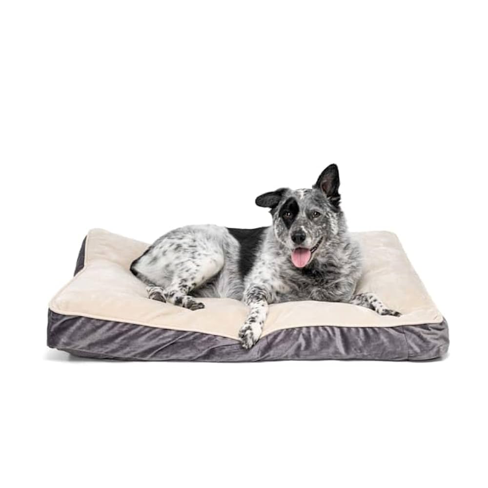 Spoil Your Dog with Petco cover photo collage