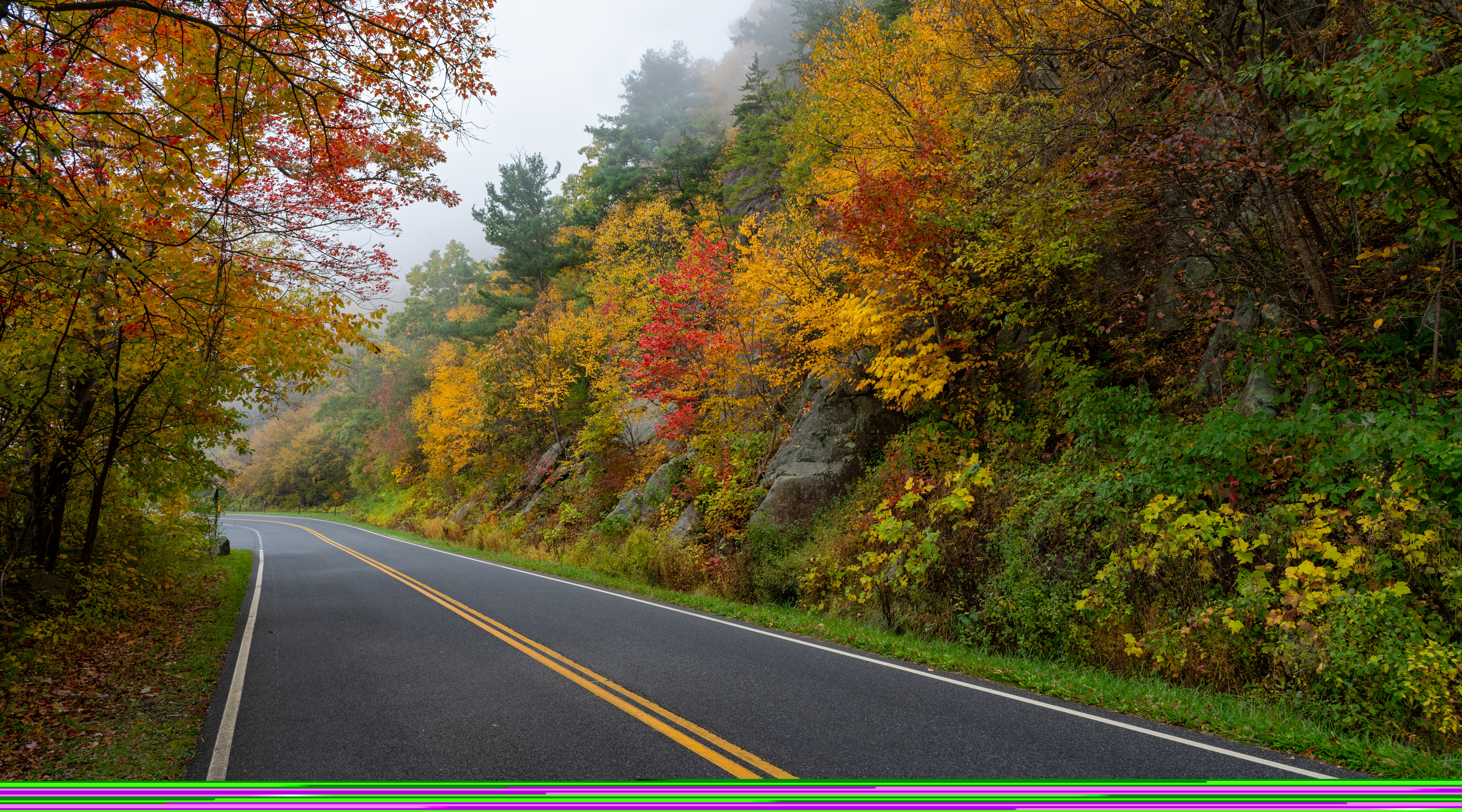 The Best Places to Enjoy Fall in and near Winchester VA! cover photo collage