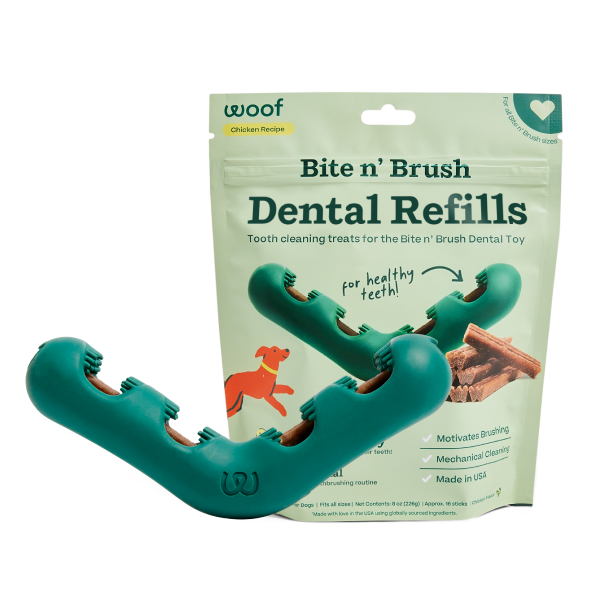 Must-Haves For Dog Parents cover photo collage