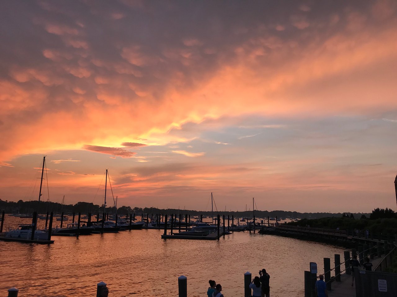 Places to eat in Bristol RI; The home of the oldest 4th of July parade! cover photo collage