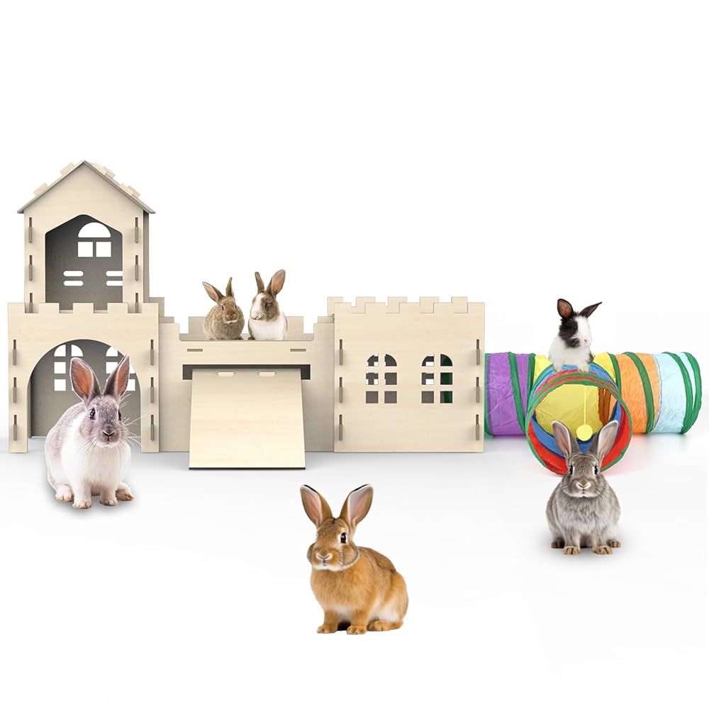 Hoppy Home Essentials 🐰 for your Rabbit Fam cover photo collage