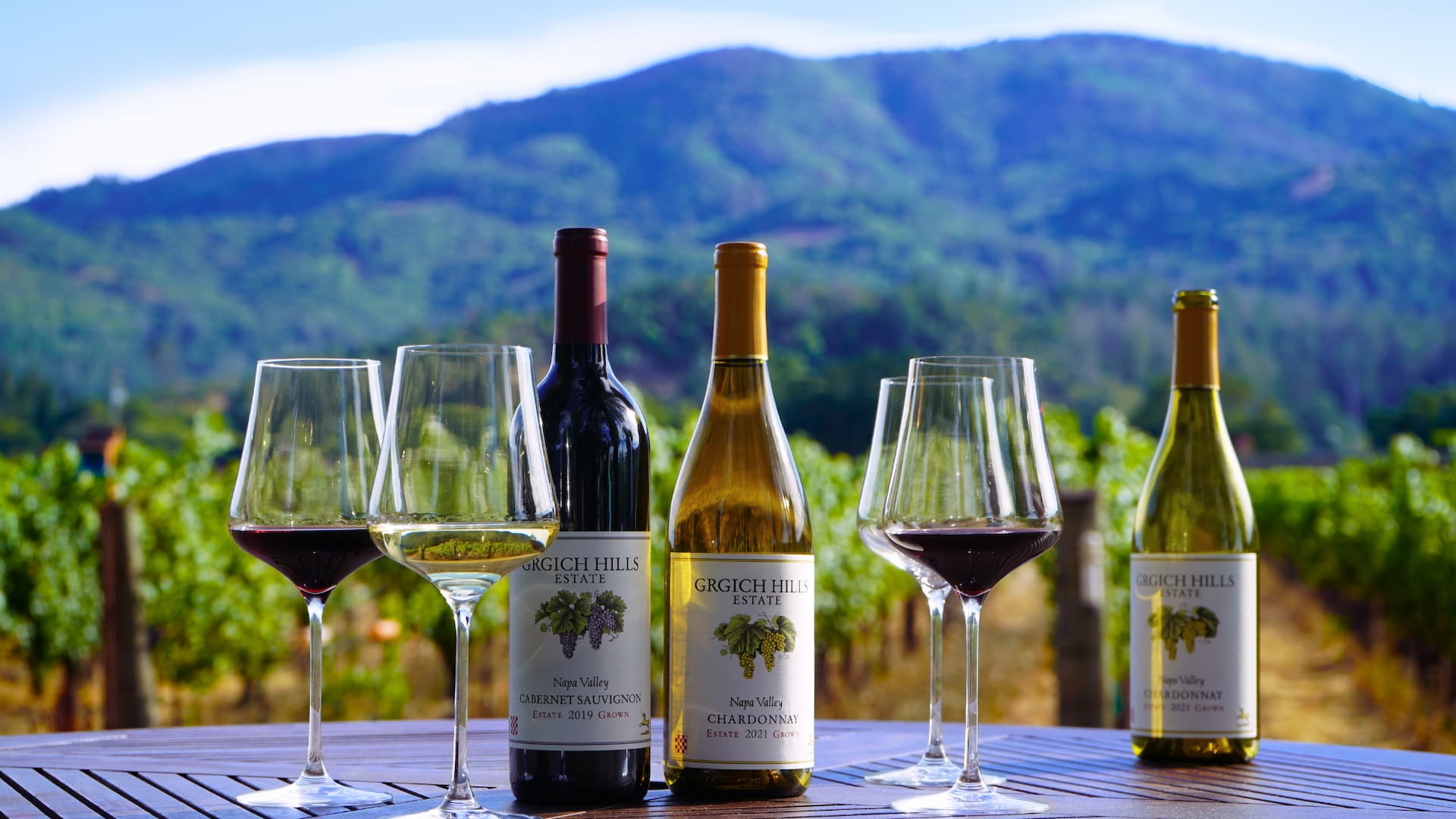 Red Wines for a Special Occasion 🍷 cover photo collage