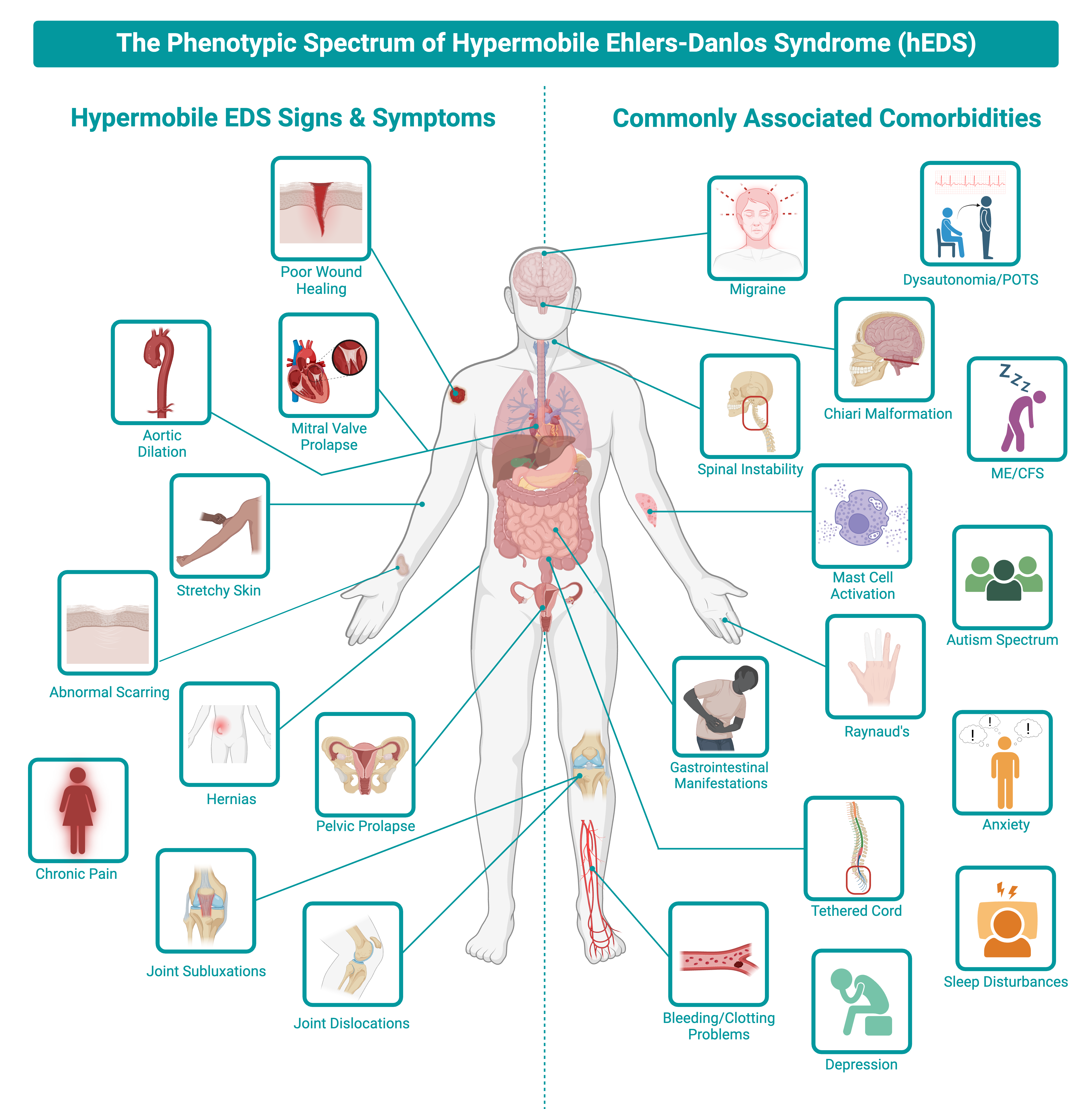 Chronic Illness Info cover photo collage