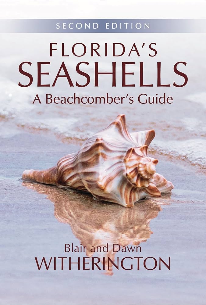 Shelling, Shark Tooth Fossil Hunting, and other Beachcoming cover photo collage