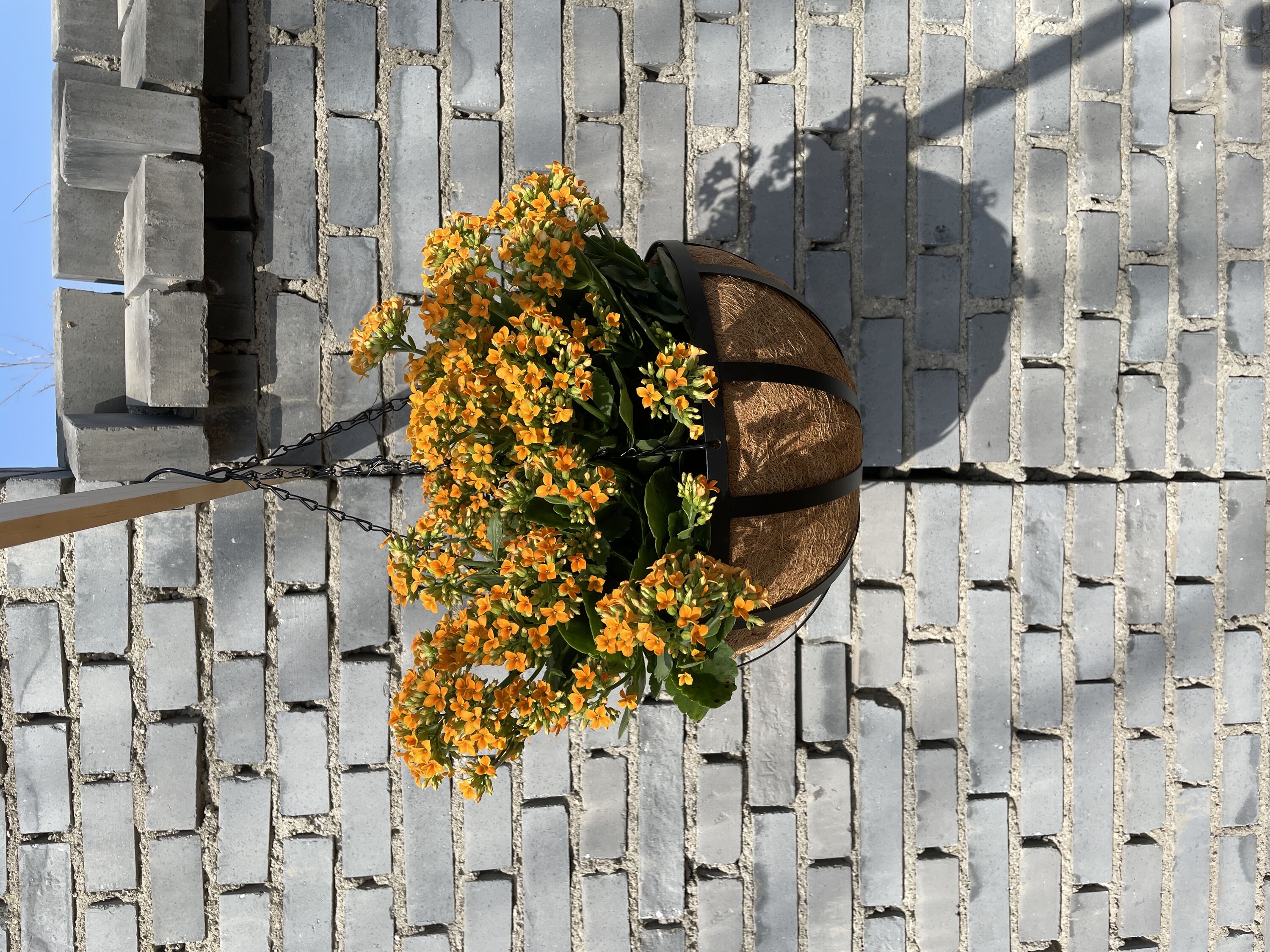 Outside oasis cover photo collage