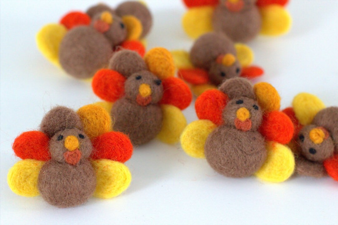 The Turkey Made Me Do It cover photo collage