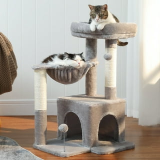 My Cats favorite things! cover photo collage