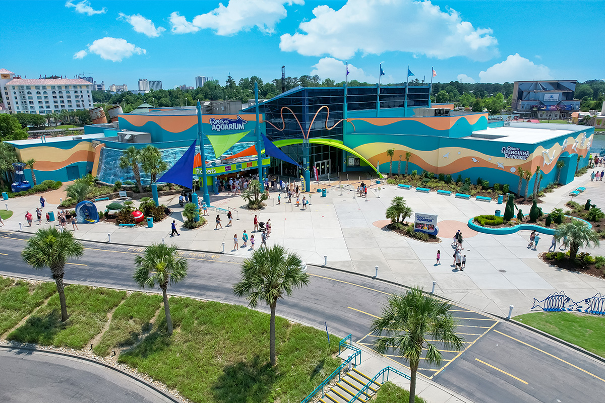 Family Fun Awaits: The Best Places to Go in Myrtle Beach cover photo collage