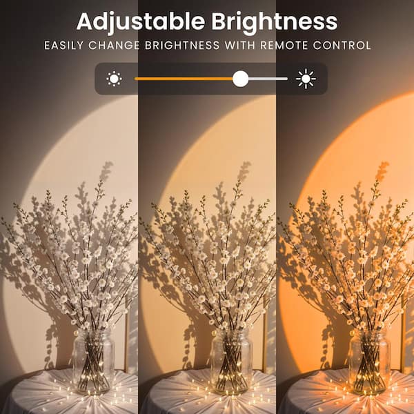 Aesthetic Home Must-Haves You Didn’t Know You Needed cover photo collage