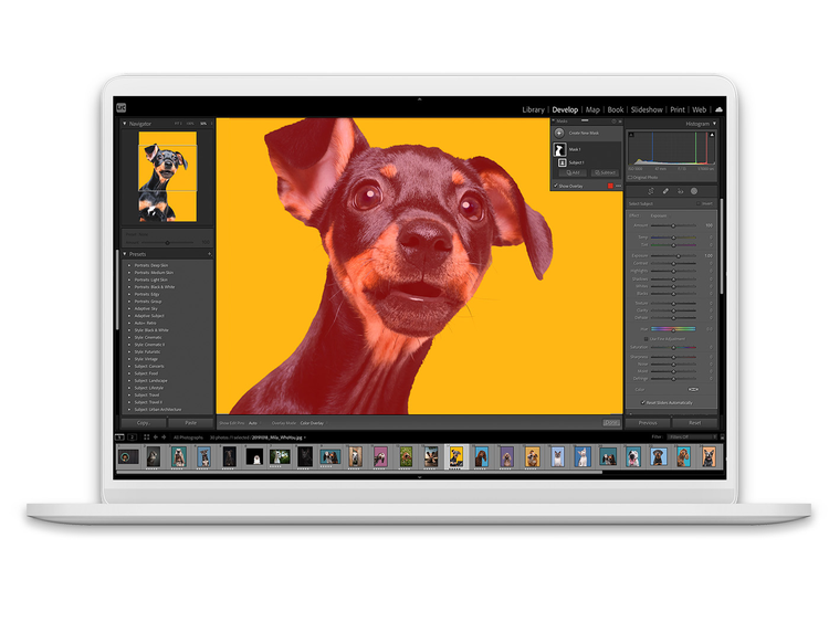 Our Go-To Photography Equipment, Tech & Learning Resources cover photo collage