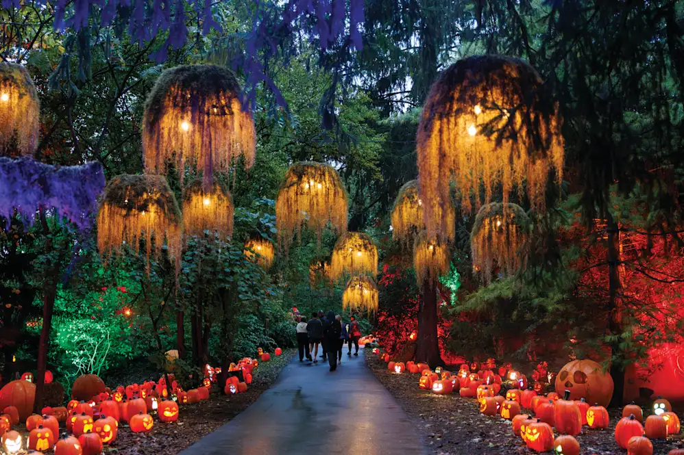 Fun Fall Things to DO in and Around Indianapolis, IN cover photo collage