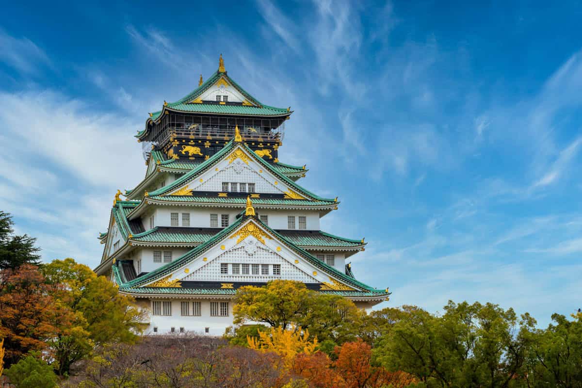 Must see places of JAPAN 🇯🇵 - food, exploring & sight seeing cover photo collage